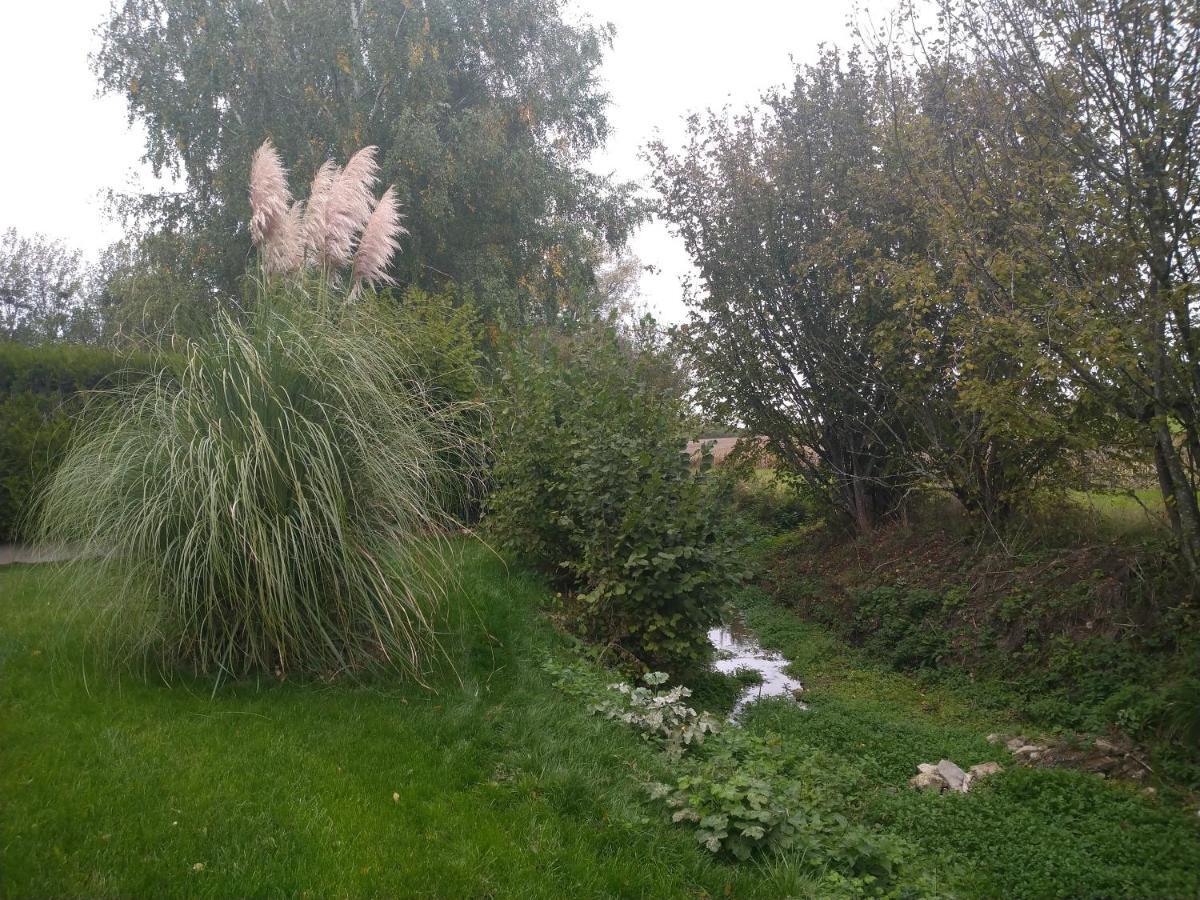 Gite De La Basse Roche Souge  Экстерьер фото